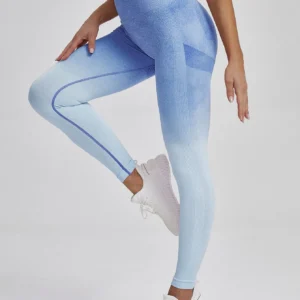 WU502 Gradient Color Workout Legging
