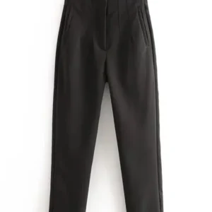 WD424 Chic Fashion Office Wear Straight Pants