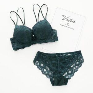 WU530  Transparente Panties And Bra Set