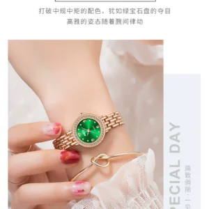 WW705 Simple Casual Luminous Waterproof Quartz Watch