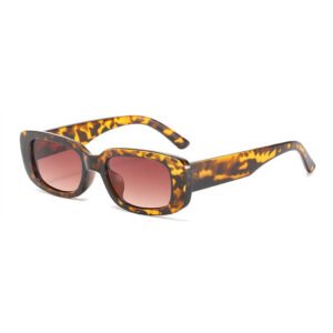 WSG606 Aesthetic Retro Vintage Sunglasses