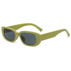 WSG606 Aesthetic Retro Vintage Sunglasses